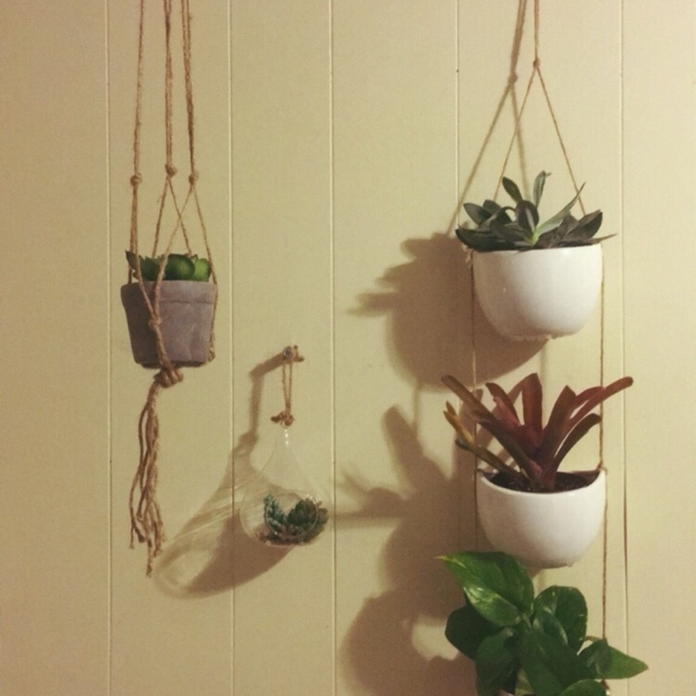 HANDMADE|| Mini macrame plant hangers🌿